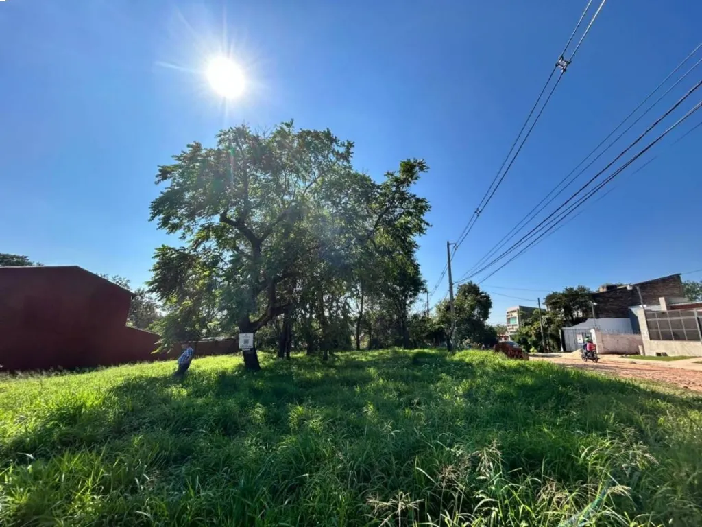 VENDO TERRENO EN VILLA ELISA — foto 3
