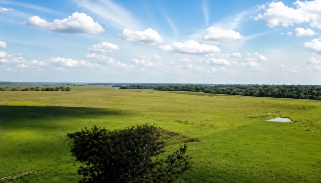 VENDO ESTANCIA EN CAAPUCU PARAGUARI — foto 2