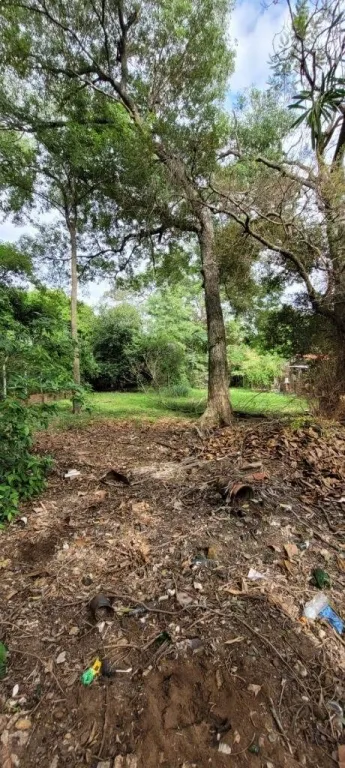 VENDO TERRENO EN AREGUA-ESTANZUELA — foto 2