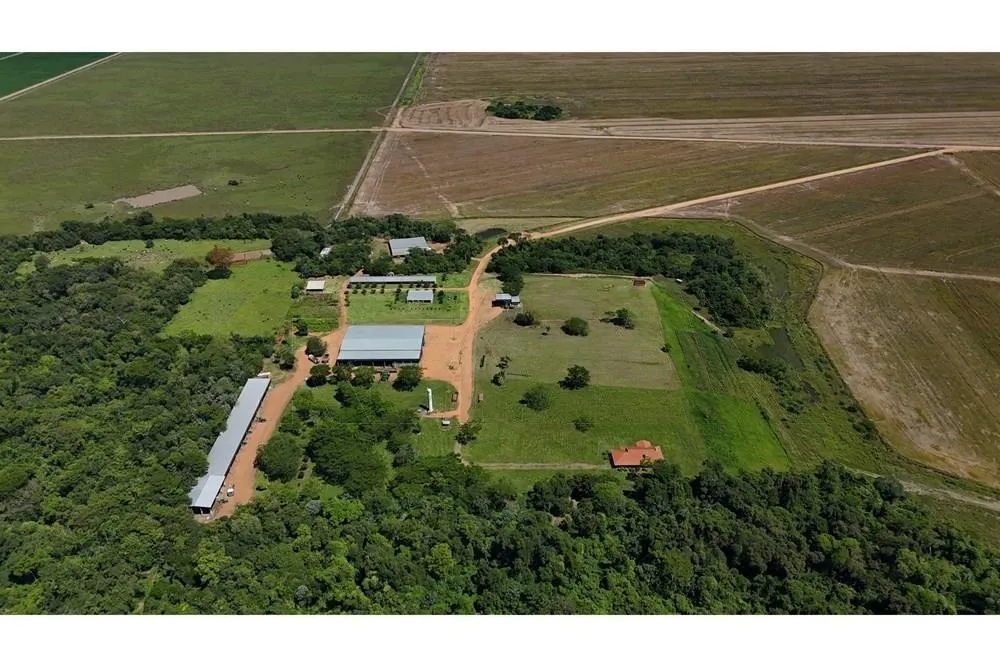 GRAN OPORTUNIDAD DE INVERSIÓN AGRÍCOLA Y GANADERA EN ITAPÚA – PARAGUAY — foto 3