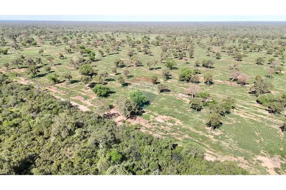 Estancia ganadera en venta – 8.000 ha en Boquerón, Chaco Paraguayo — foto 2