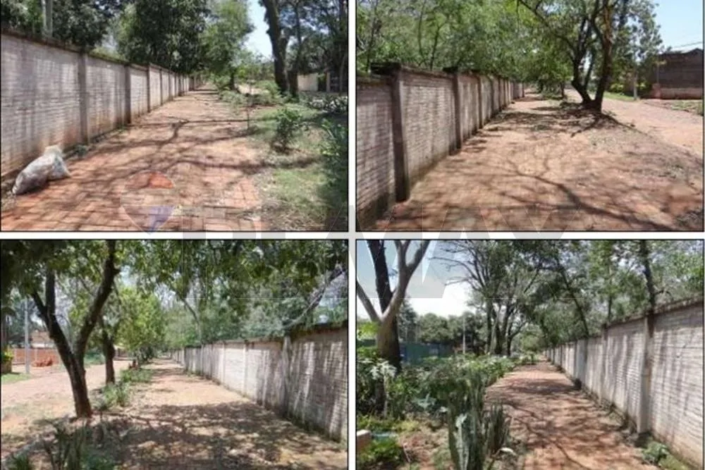 Calle Brasil, en Lote Guazú, San Lorenzo, este — foto 2