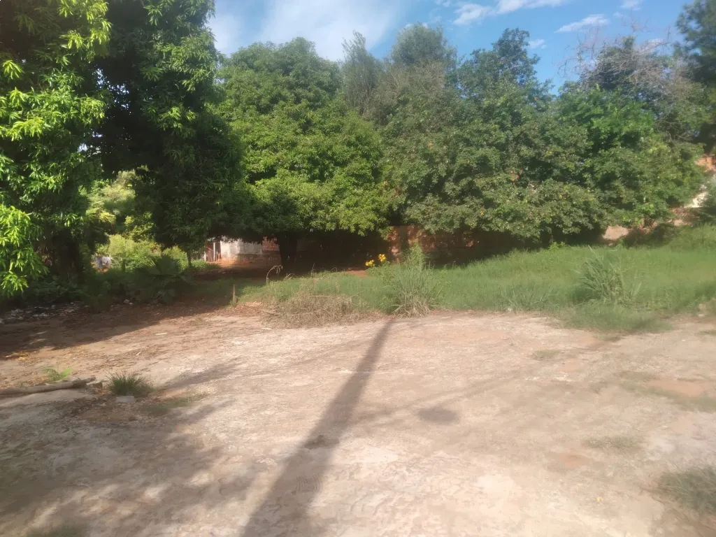 🏡 Terreno en Venta en Luque – Isla Bogado – 420 m² Precio regalado — foto 2