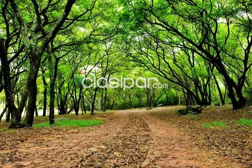 Terreno en Venta en Central Ypacaraí — foto 3