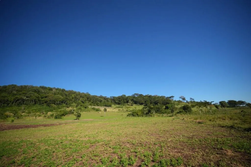VENDO 20 HECTÁREAS EN CERRO CORA - SAPUCAI — foto 2