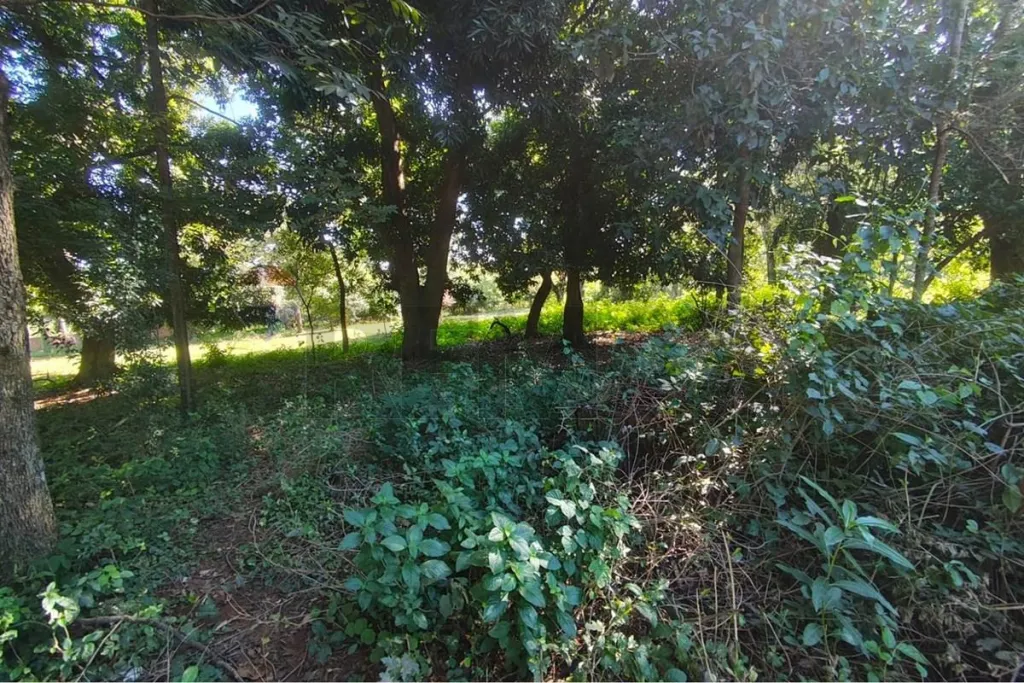 ALQUILO TERRENO EN CAPIATA — foto 2