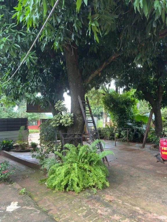 VENDO TERRENO SOBRE ASFALTO ALDANA CAÑADA CAPIATA — foto 3