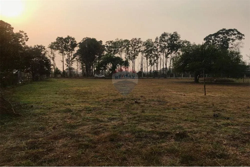 VENDO 1 HECTAREA (10.000 M2) SRUTA LUQUE SAN BERNARDINO CERCA COMISARIA TARUMANDY-LUQUE — foto 2