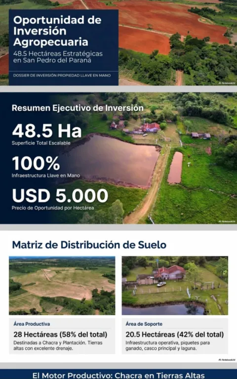 SAN PEDRO DEL PARANÁ, EXCELENTE OPORTUNIDAD: 48.5 HAS, ALTA PRODUCCIÓN AGRÍCOLA. — foto 2