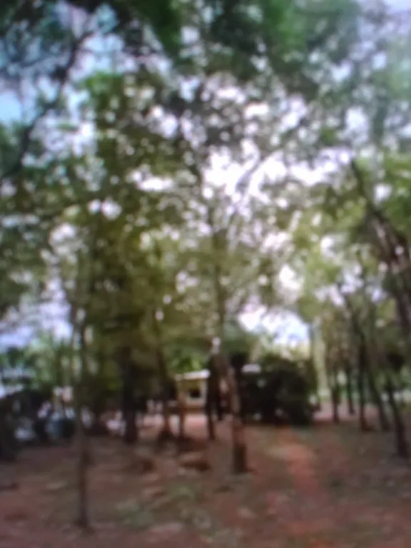 Vendo casa quinta de:20x100 m2 en Nueva Colombia a:500m del Asfalto Luque San Bernardino — foto 3