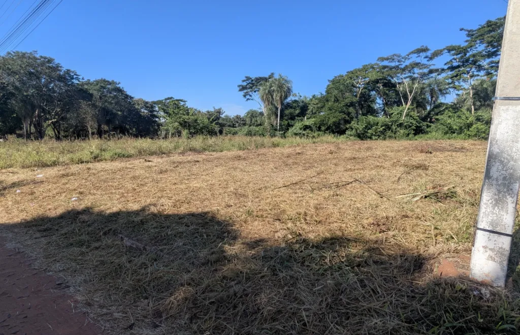 Anuncio 2932425 — foto 2