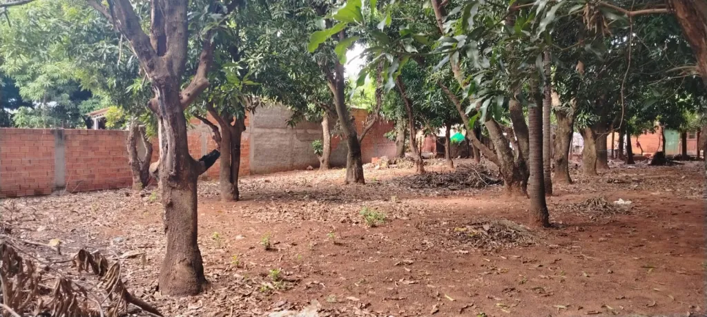 Terreno en venta en Marin Kaaguy, Luque — foto 2