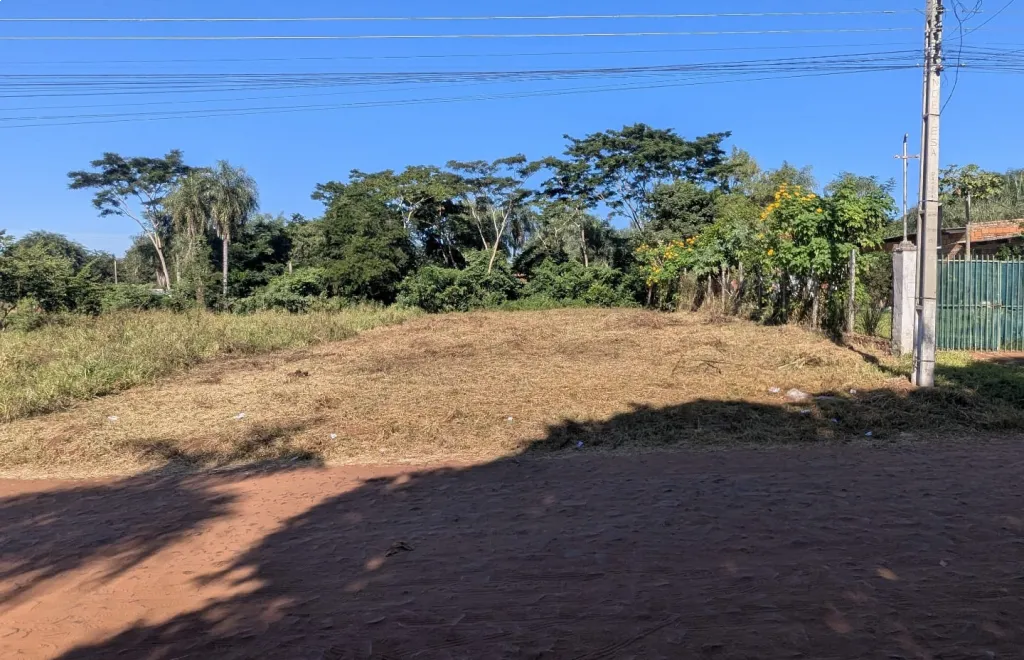 Terreno en Ypané, Thompson — foto 3