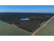 En Venta -Estancia/Campo -Teniente Esteban Martínez, Presidente Hayes, Paraguay