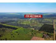 En Venta - Finca Agrícola -San Estanislao, San Pedro, Paraguay