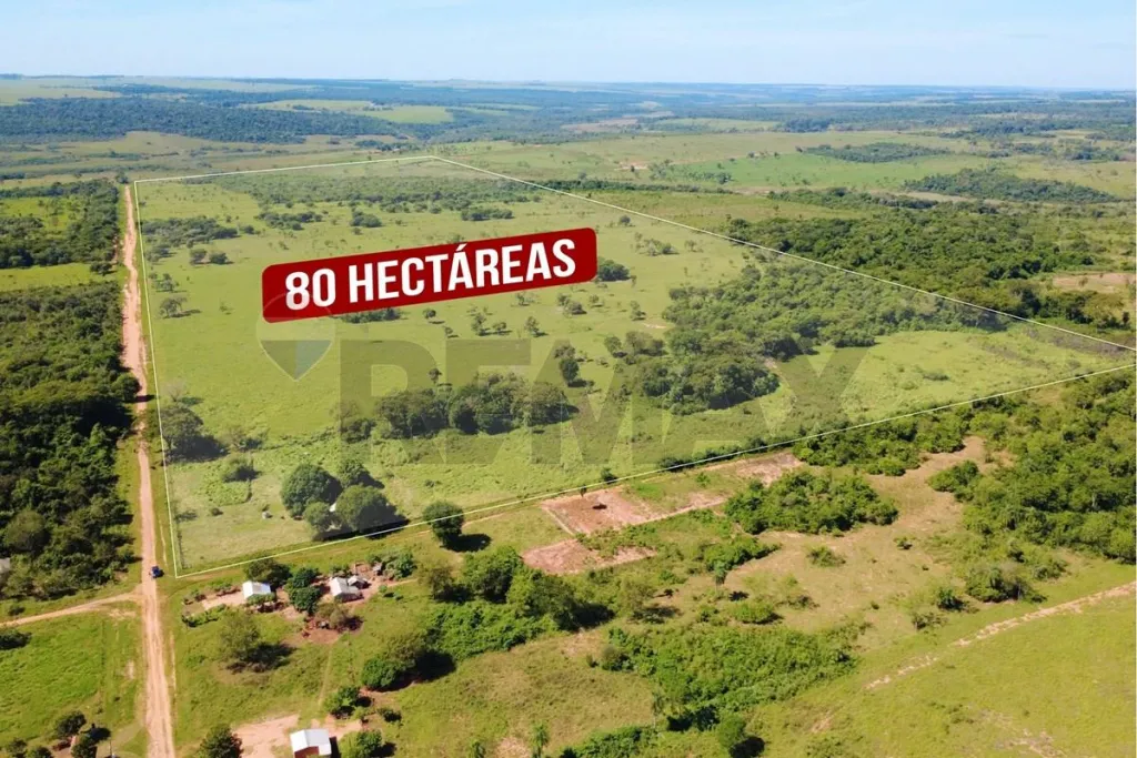 En Venta - Finca Agrícola -San Estanislao, San Pedro, Paraguay — foto 3