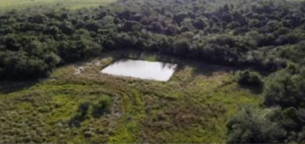 Vendo Propiedad Ganadera de 370 Hectáreas en Isla Pucú, Cordillera - LCS8371062 — foto 3