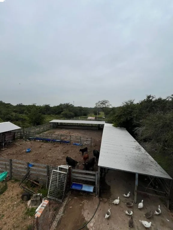 EN VENTA TERRENO DE 3 HECTAREAS EN TARUMANDY, LUQUE — foto 2