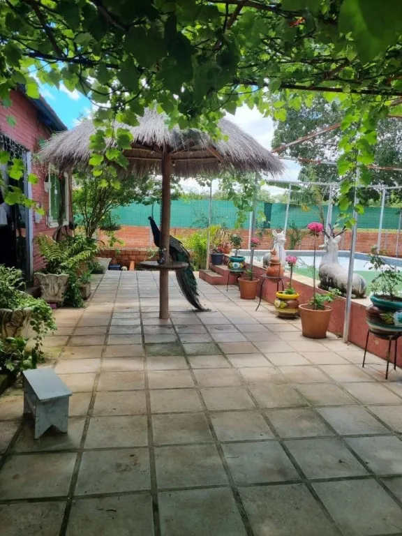 EN VENTA TERRENO DE 3 HECTAREAS EN TARUMANDY, LUQUE — foto 3