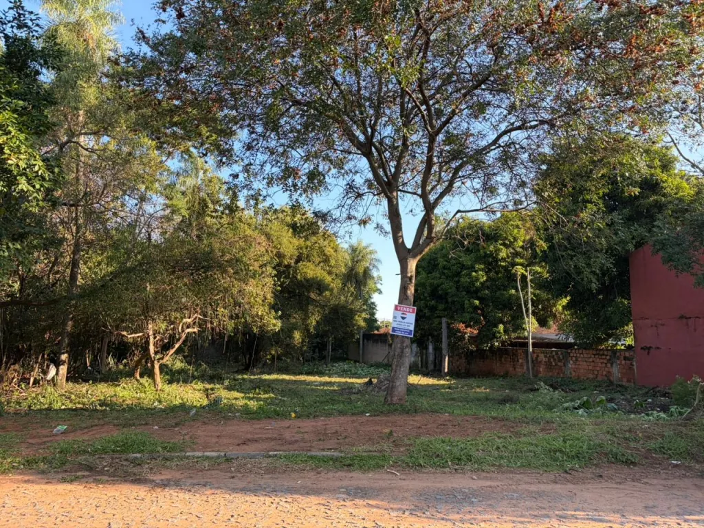 Vendo Hermosa Propiedad a 100mts del asfalto con excelente ubicación en San Lorenzo — foto 3