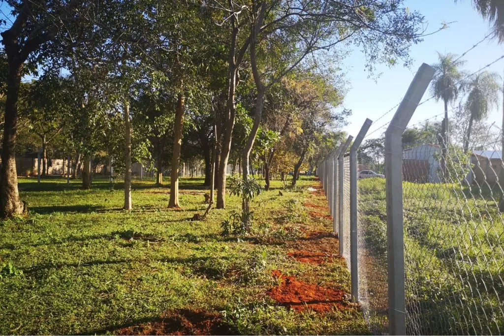 Terreno Luque Mora kue — foto 2