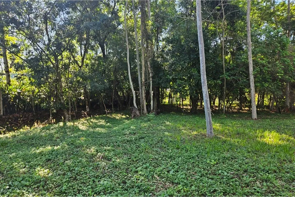 EN VENTA AMPLIO TERRENO EN ALTOS, ZONA CENTRO — foto 2