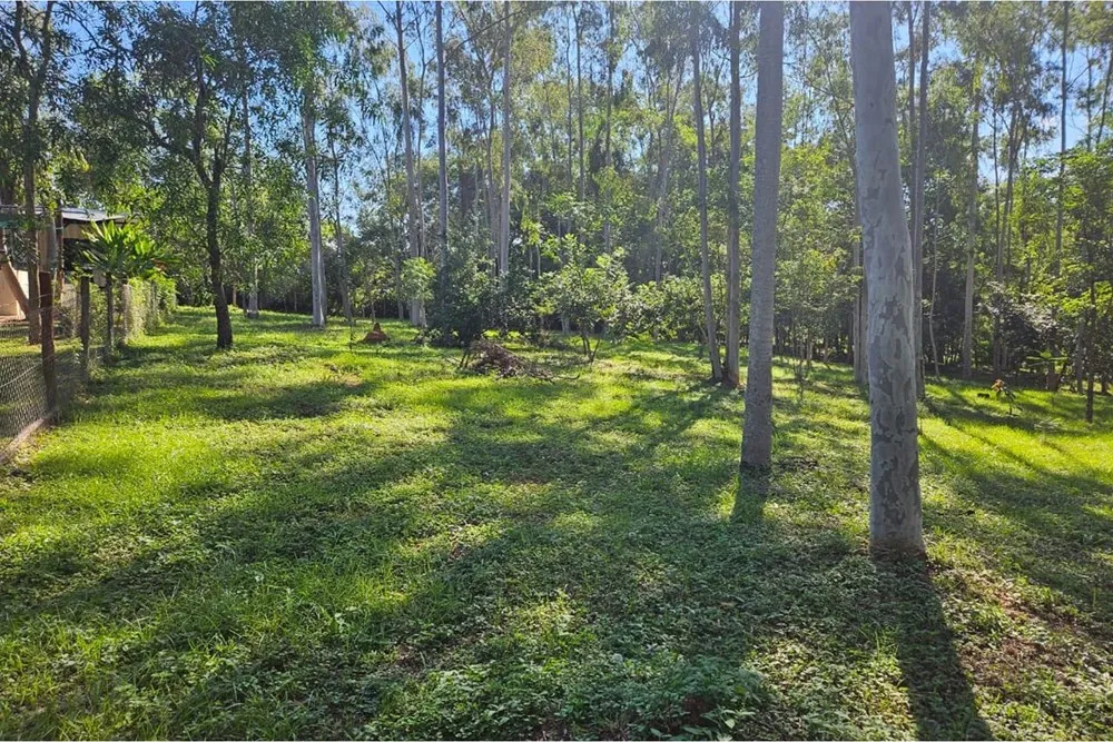 EN VENTA AMPLIO TERRENO EN ALTOS, ZONA CENTRO — foto 3