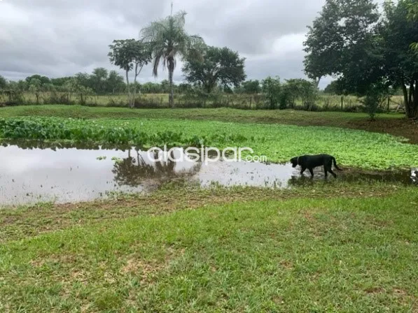 Por viaje, propietario vende casa quinta en Ypacaraí — foto 2
