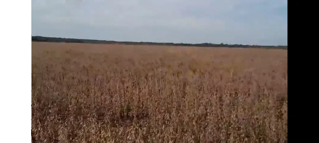 Propiedad Agricola en San Pedro del Paraná — foto 2