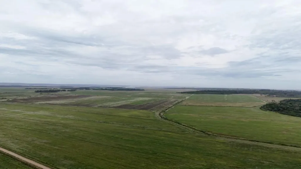 Alquilo Campo Agricola Mecanizado en Caazapa - 1778 Ha. — foto 2