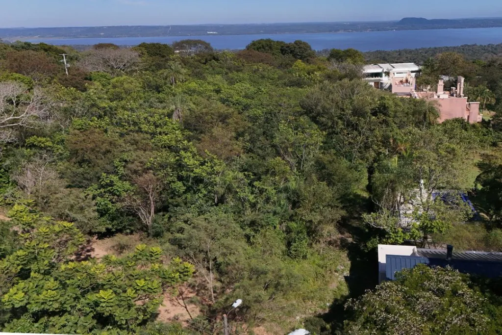 TERRENO EN VENTA SAN BERNARDINO - LA SUIZA — foto 3