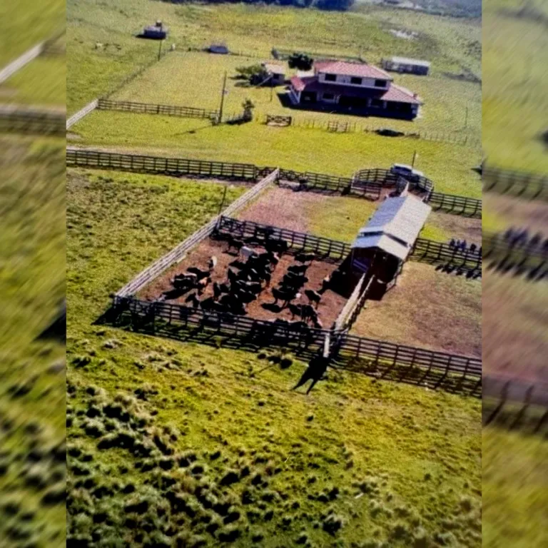 Estancia.:., Ñeembucu orientada a Ganadería ppreparar Agricultura VDO Tota — foto 3