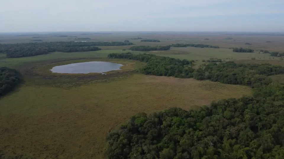 GRAN PROPIEDAD RURAL EN TACUARAS, ÑEEMBUCU Superficie: 1215 ha — foto 2