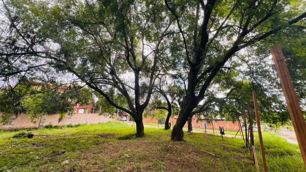 Terreno en venta en Loma Pytã, Asunción — foto 2