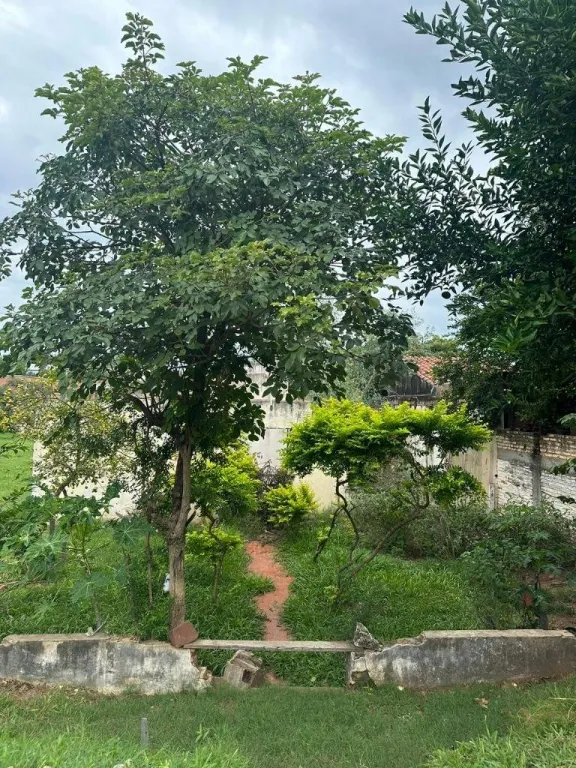 VENDO TERRENO EN LAMBARE BARRIO KENNEDY OPORTUNIDAD – LÍMITE CON ASUNCIÓN — foto 3