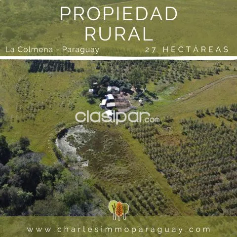 Estancia de 27 hectáreas en venta – Ideal para ganadería, agricultura o proyecto turístico — foto 3