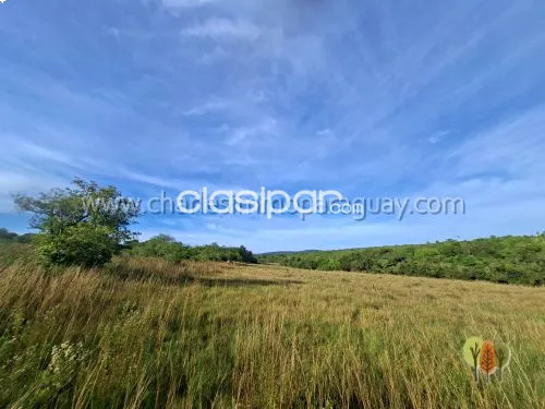 Terreno de 13,7 hectáreas en venta – Vista panorámica, bosque y arroyo – La Colmena — foto 2