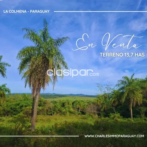 Terreno de 13,7 hectáreas en venta – Vista panorámica, bosque y arroyo – La Colmena — foto 3