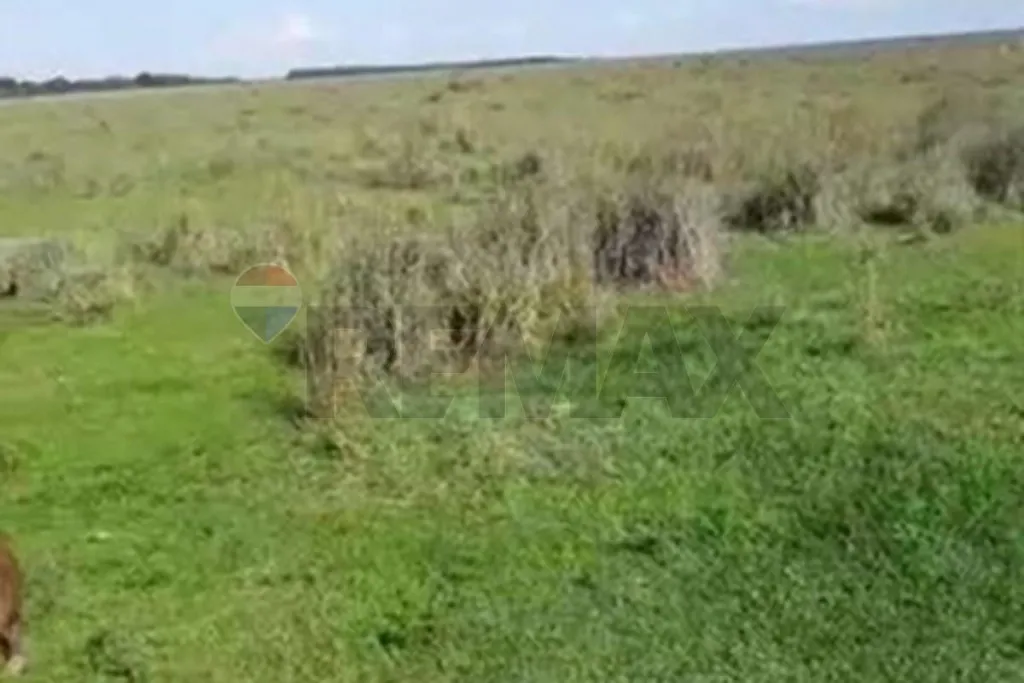 Campo en venta en Arroyo y estero, Arroyos y Esteros — foto 2