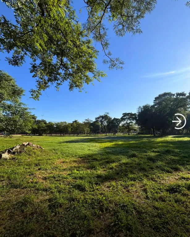 EN VENTA – TERRENO SOBRE RUTA TRANSCHACO 48.319m2 — foto 3