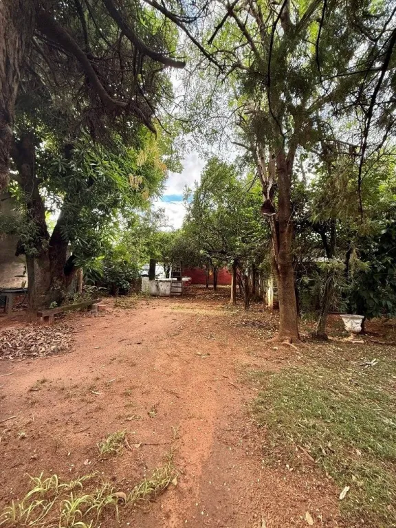 Vendo Terreno Premium para Desarrollo Inmobiliario – Barrio Los Laureles — foto 3