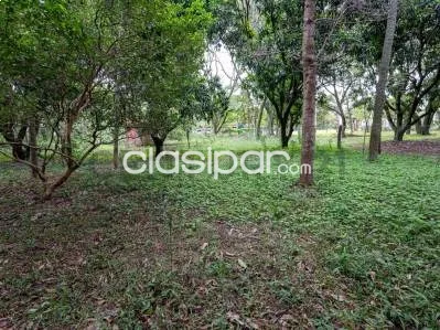 Vendo terreno en Altos sobre ruta San Bernardino - Altos - Lote №.4 — foto 2