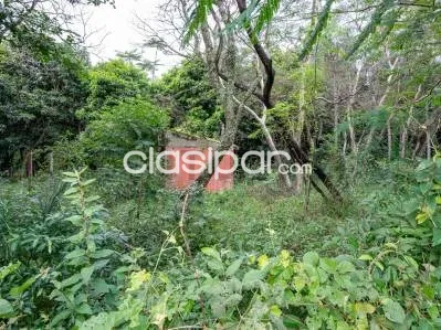 Vendo terreno en Altos sobre ruta San Bernardino - Altos - Lote №.4 — foto 3