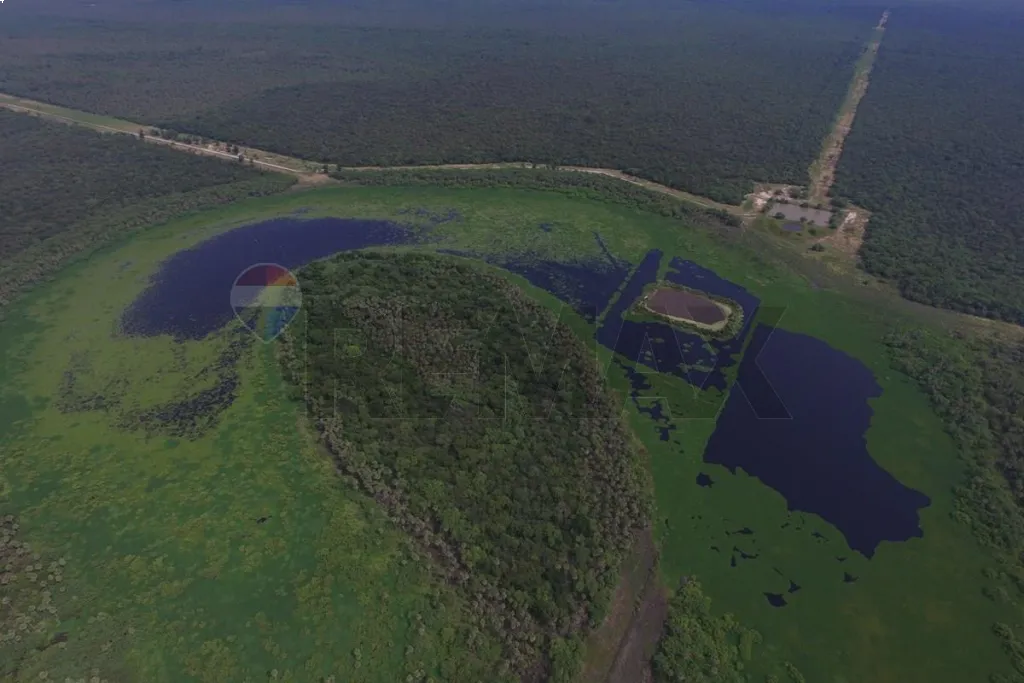 EXCLUSIVA OPORTUNIDAD DE INVERSIÓN EN EL CHACO PARAGUAYO! CAMPO VIRGEN CON ALTO POTENCIAL — foto 2