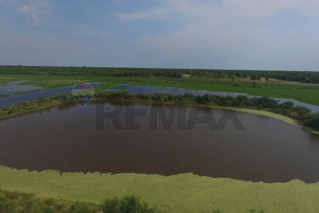 EXCLUSIVA OPORTUNIDAD DE INVERSIÓN EN EL CHACO PARAGUAYO! CAMPO VIRGEN CON ALTO POTENCIAL — foto 3