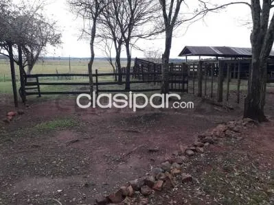 Vendo Campo Productivo de 80 Has. en San Pedro del Paraná – Agricultura y Ganadería — foto 2