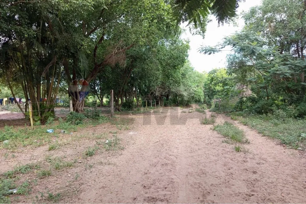 Venta Terreno Ypacarai — foto 3