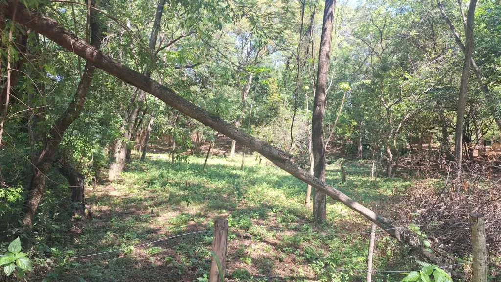 🌿✨ ¡Vendo hermoso terreno en San Bernardino, zona La Suiza! ✨🌿 — foto 3