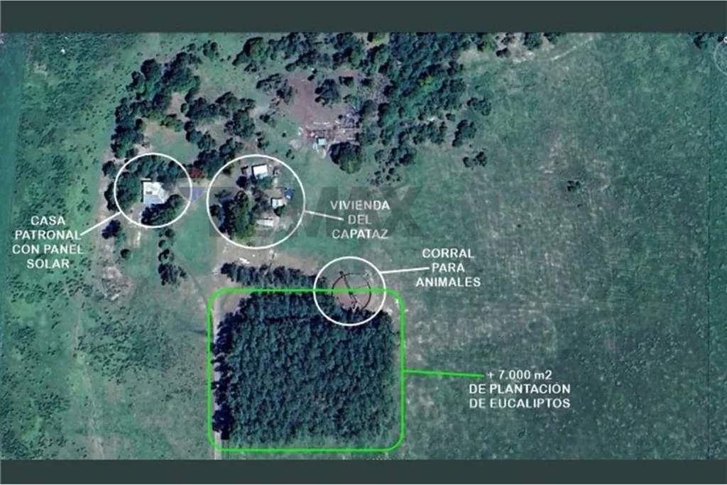 Campo en venta en Arroyos y Esteros — foto 3