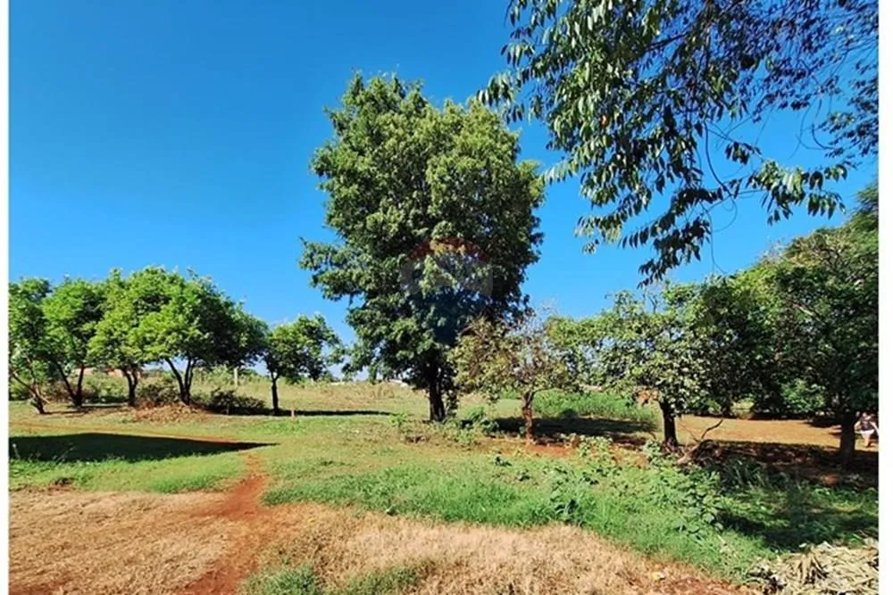 Terreno Vendo 1958 M2 en Tomás Romero Pereira — foto 2